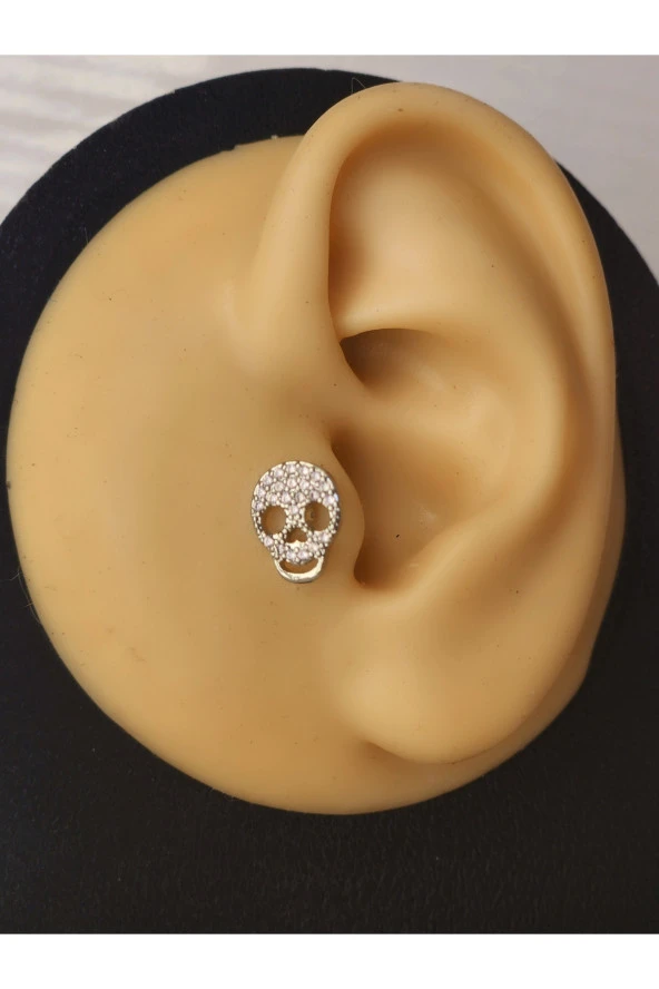 Kuru Kafa İskelet Skull Silver  ModelTragus Helix Piercing Ear Cuff Kıkırdak Çelik Küpe