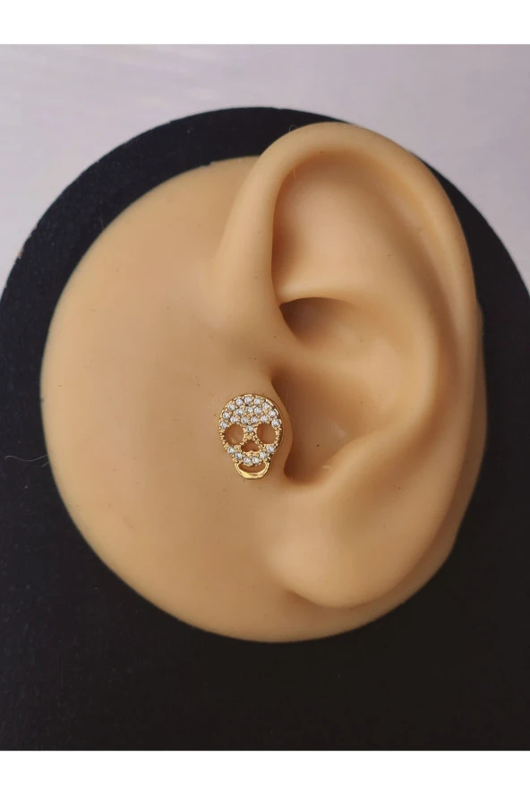 Kuru Kafa İskelet Skull ModelTragus Helix Piercing Ear Cuff Kıkırdak Çelik Küpe