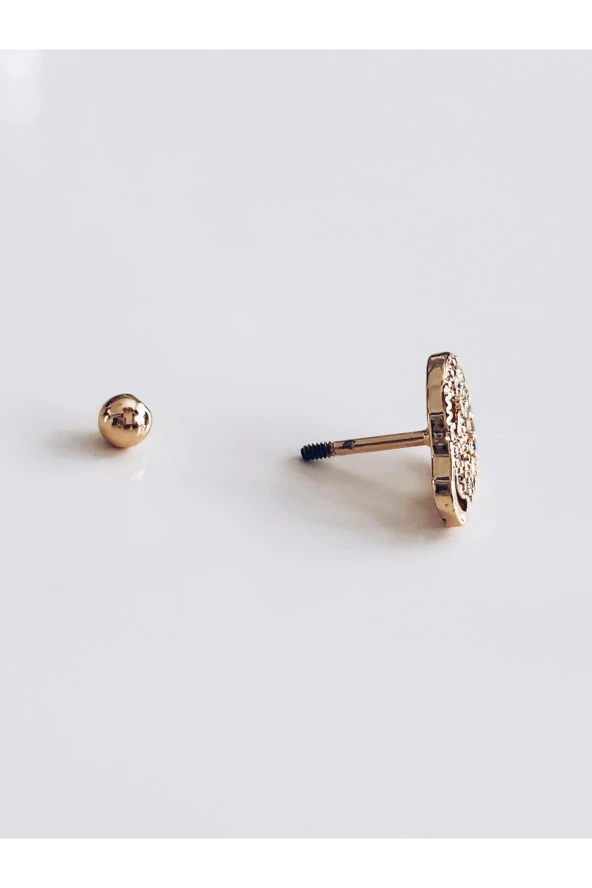 Kuru Kafa İskelet Skull ModelTragus Helix Piercing Ear Cuff Kıkırdak Çelik Küpe - 3