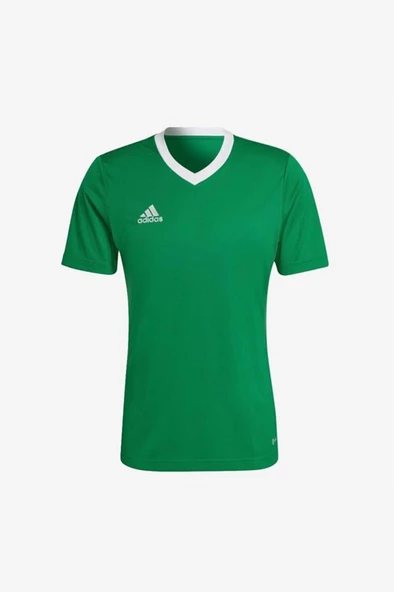 Adidas Entrada 22 Jersey ADHI2123 Yeşil Erkek Forma