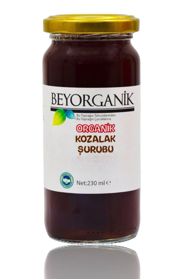 Organik Çam Kozalak Şurubu 230gr