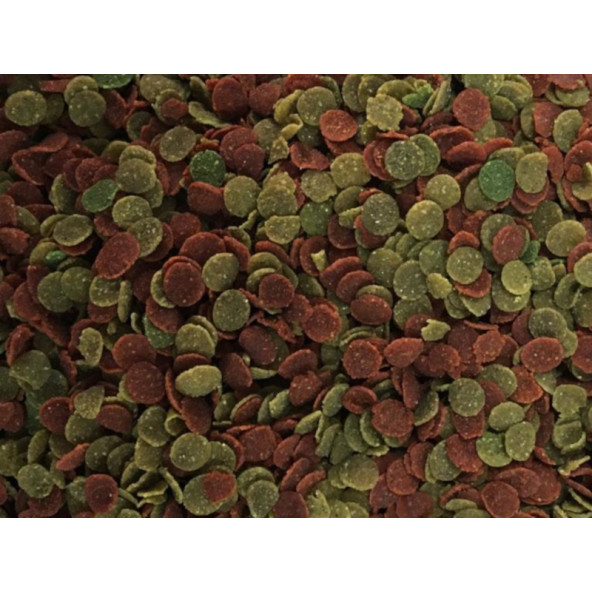 Amore Protein Garlic Malawi Ciklet 2.4Kg Pro Chips Sarımsaklı Kova Balık Yemi,Betta-Goldy-4x125ml - 3