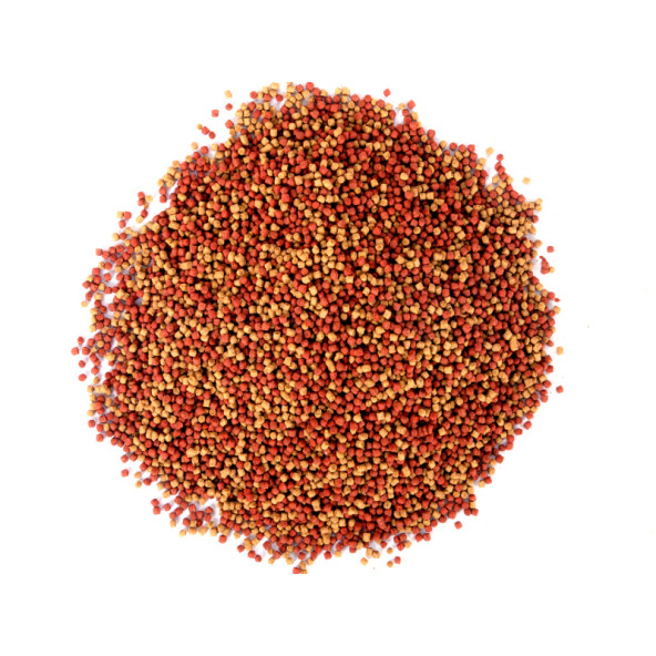 Amore Malawi Ciklet Mix Granules Karışık 3kg Kova, Goldy Mix Granules 8 adet 125ml Kutu Japon Balığı Yemi - 4