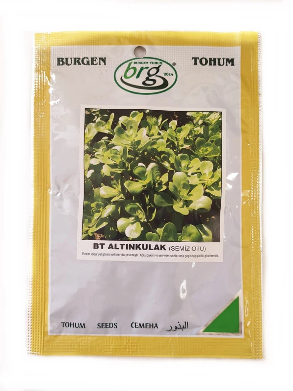 BT Altınkulak Semizotu Tohumu (10 gr) - 1