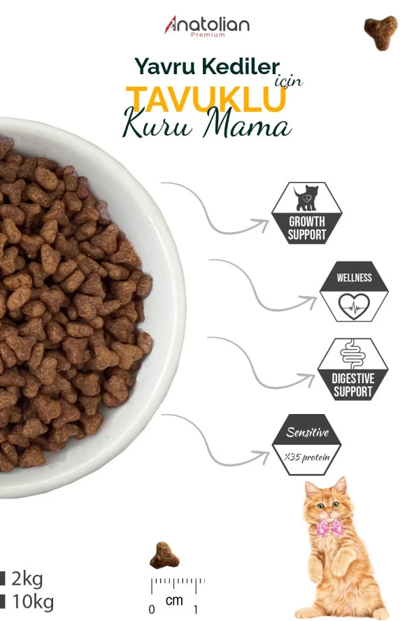 Anatolian Premium Kitten Chicken Tavuklu Yavru Kedi Maması 2 Kg - 3