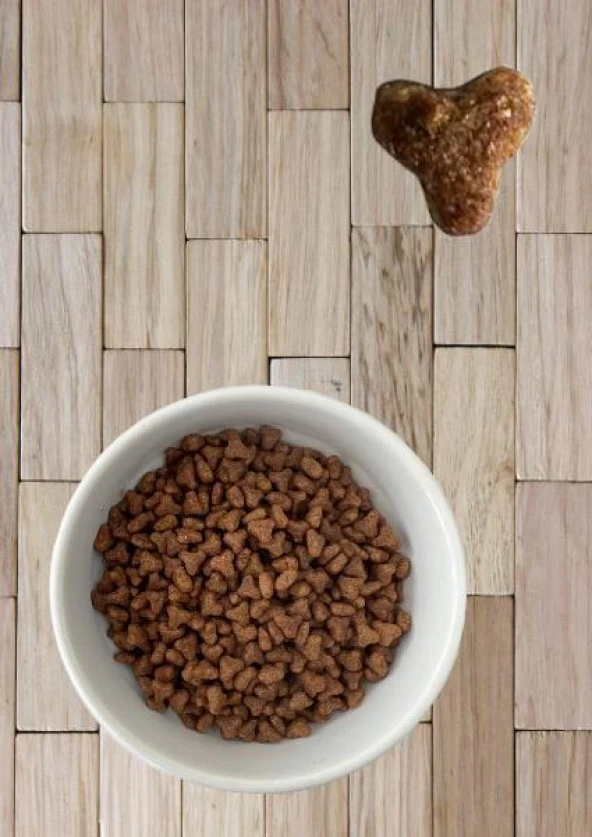 Anatolian Premium Kitten Chicken Tavuklu Yavru Kedi Maması 2 Kg - 6