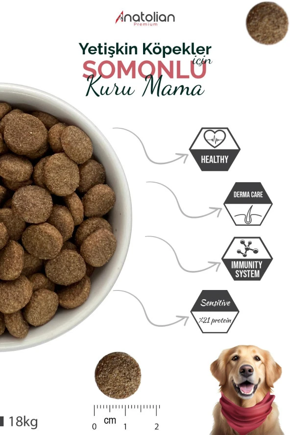 Anatolian Premium Somonlu Yetişkin Köpek Maması 18 kg - 4