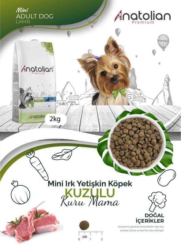 Anatolian Premium Mini Adult Lamb Kuzulu Yetişkin Küçük Irk Köpek Maması 4 Kg - 4