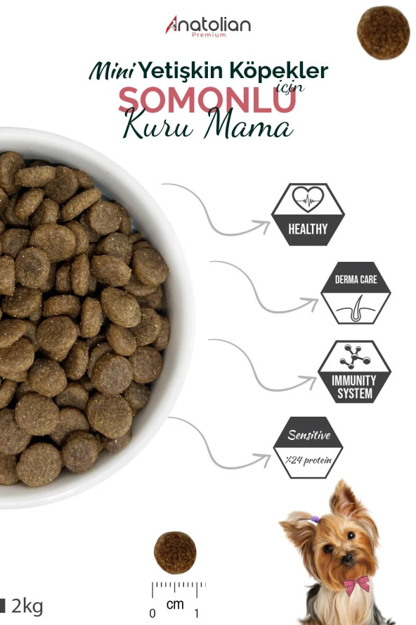 Anatolian Premium Mini Adult Salmon Somonlu Yetişkin Küçük Irk Köpek Maması 4 Kg - 3