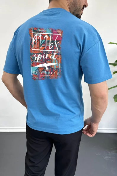Erkek Oversize %100 Pamuk Spirit Sırt Baskılı T-shirt Mavi Edw093 ürün görseli