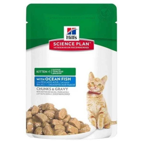 Hills Okyanus Balıklı Yavru Paket  Kedi Maması 85 gr X 12 Adet