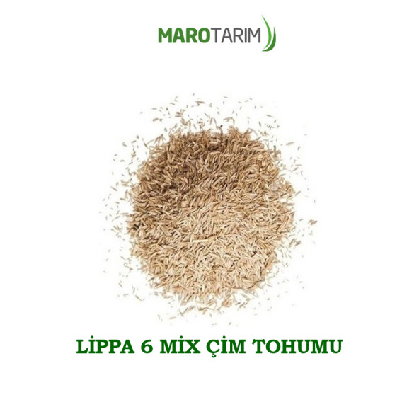 DSV LİPPA 6 MİX ÇİM TOHUMU - 1 KG - (1 ADET) - 3