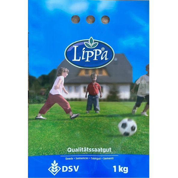 DSV LİPPA 6 MİX + LİSUNA 6 MİX + VERDE 6N+ SHADOW 5S +TAMU 5 MİX + SPECIAL 4S ÇİM TOHUMU - 1 KG -