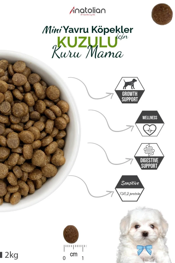 Anatolian Premium Mini Puppy Lamb Kuzulu Küçük Irk Yavru Köpek Maması 2 Kg - 3