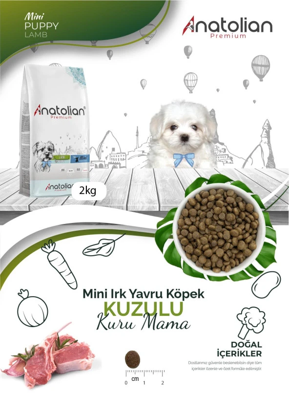 Anatolian Premium Mini Puppy Lamb Kuzulu Küçük Irk Yavru Köpek Maması 2 Kg - 4