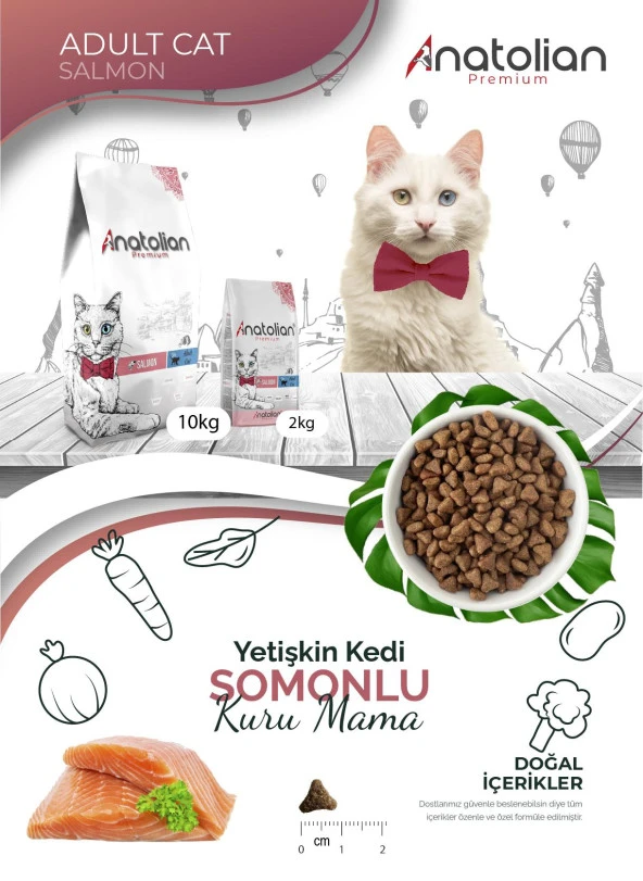 Anatolian Premium Adult Salmon Somonlu Yetişkin Kedi Maması 2 Kg - 4