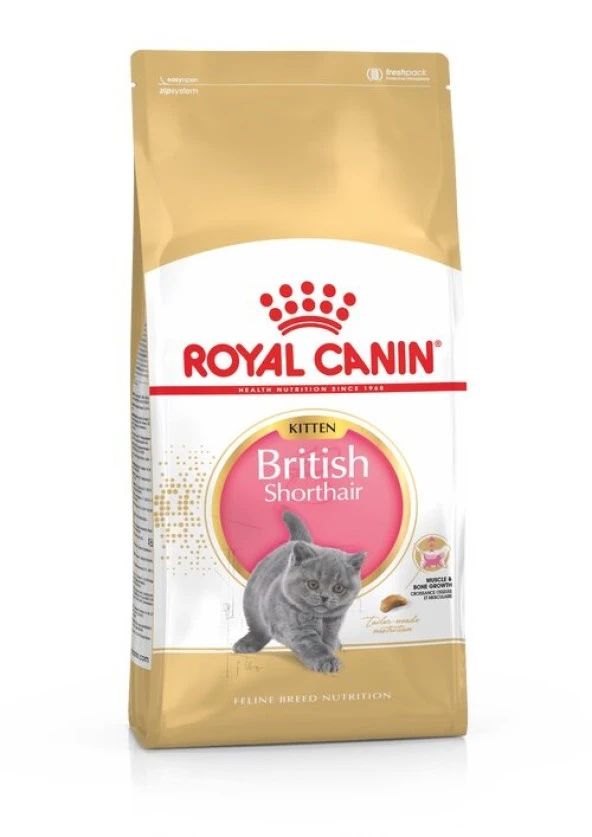 Royal Canin British Shorthair Kitten Yavru Kedi Maması 2 Kg