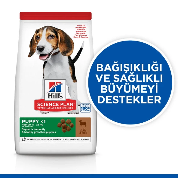 Hills Puppy Kuzulu Medium Yavru Köpek Maması 14 kg