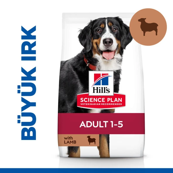 Hill's SCIENCE PLAN Yetişkin Büyük Irk Kuzulu & Pirinçli Köpek Maması 14 KG