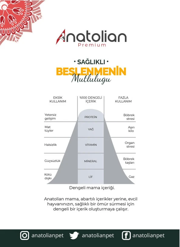 Anatolian Premium Lamb Kuzulu Medium Maxi Yetişkin Köpek Maması 18 Kg A3001 - 7