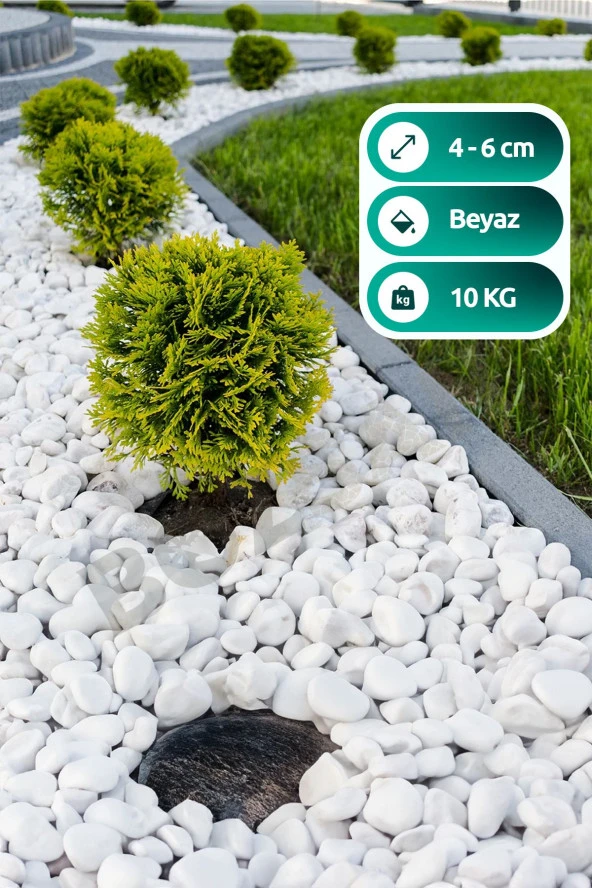 Bozsan Beyaz Dolomit Taş 4-6cm Dolomit Taşı Bahçe Süs Akvaryum Taşı Dere Çakıl Taşı 10 Kg