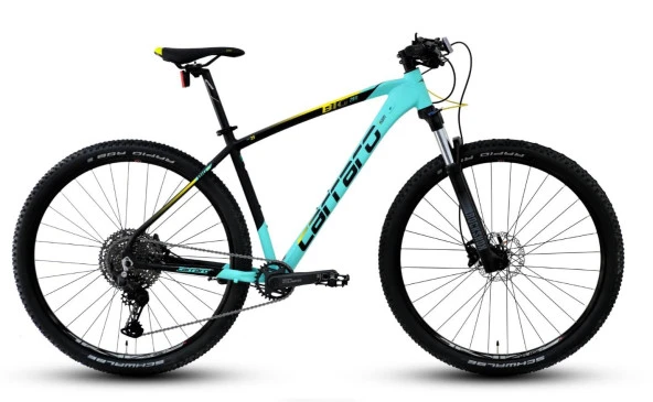 Carraro Big 2911 29"Jant 48 Cm 11 Vites HD Dağ Bisikleti Turkuaz Siyah Sarı - Resim 2