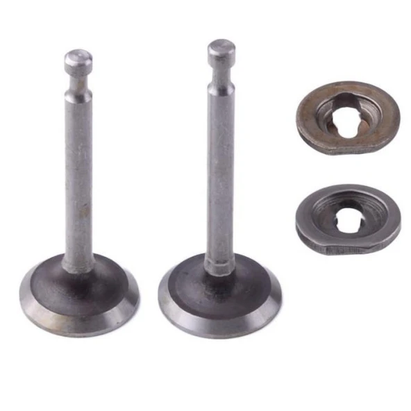 Honda GX160-200 Subap Takımı ürün görseli 1