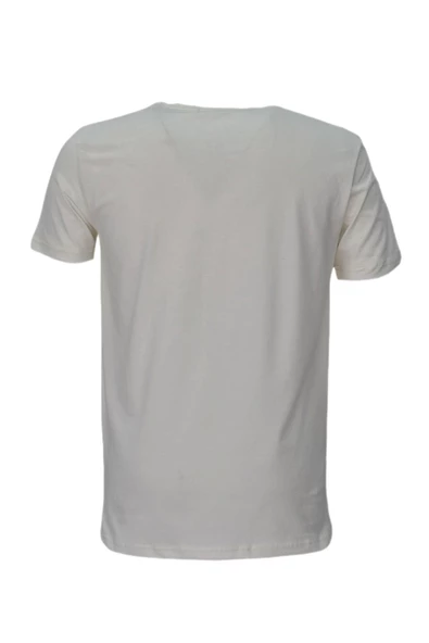 Erkek Sıfır Yaka Pano Baskılı Tişört BGL-ST03832 - Resim 5