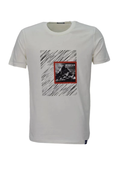 Erkek Sıfır Yaka Pano Baskılı Tişört BGL-ST03832 - Resim 2