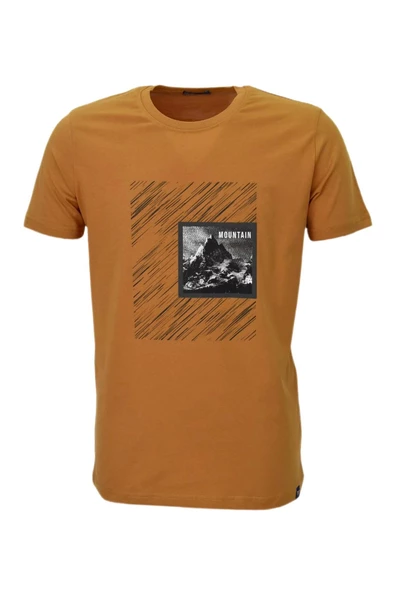 Erkek Sıfır Yaka Pano Baskılı Tişört BGL-ST03832 - Resim 3