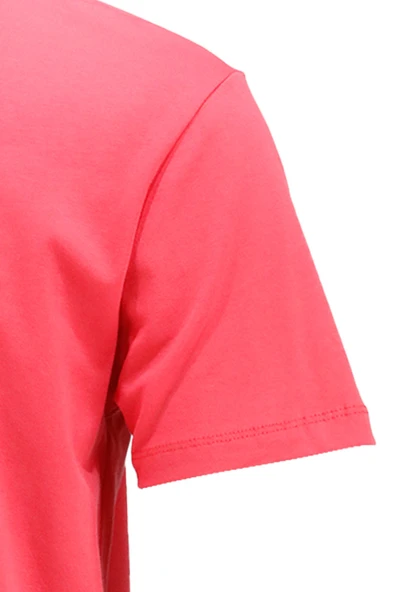 Erkek Bisiklet Yaka Standart Fit Nar Çiçeği T-Shirt - 3