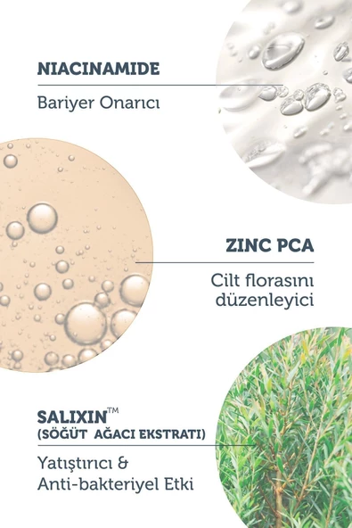 Siyah Nokta Ve Sivilce Karşıtı Niacinamide Cilt Bakım Serumu 30 Ml (niacinamide 5% & Zinc Pca 1%) - 4