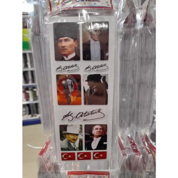 Ticon Puffy Sticker Atatürk Tps-017/5