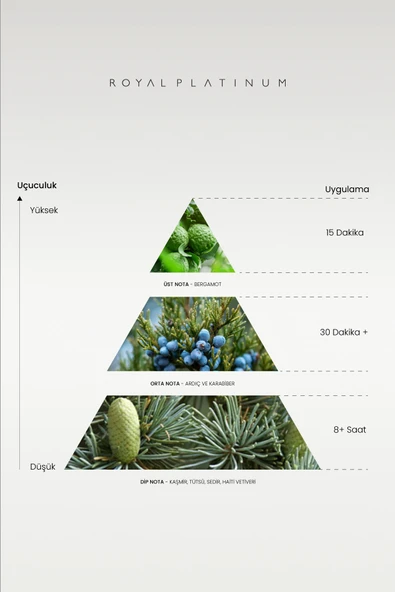 M518 ERKEK PARFÜM - Resim 2