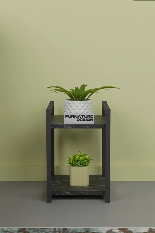 FurnatureDesign Metal Ahşap Dekoratif Çok Amaçlı Raf 2 Katlı Banyo Mutfak Rafı Çiçeklik Organizer Bendir - 2