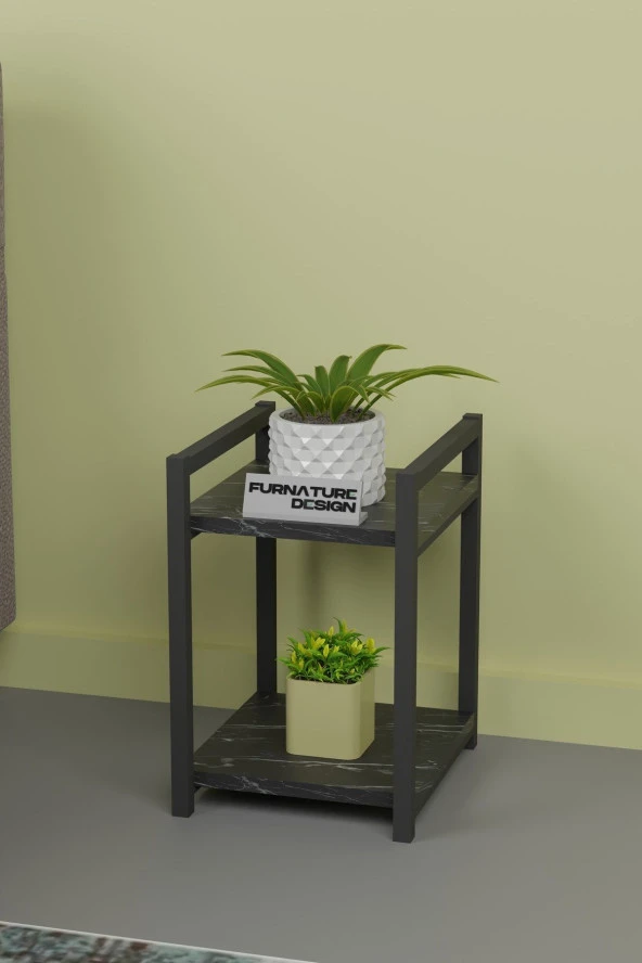 FurnatureDesign Metal Ahşap Dekoratif Çok Amaçlı Raf 2 Katlı Banyo Mutfak Rafı Çiçeklik Organizer Bendir - 3