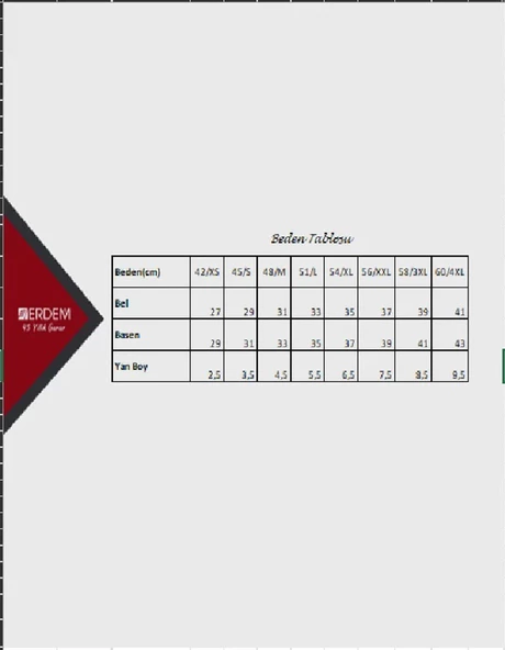 Erdem Kadın Likralı Bikini Külot 7105 - 6 Adet - 2