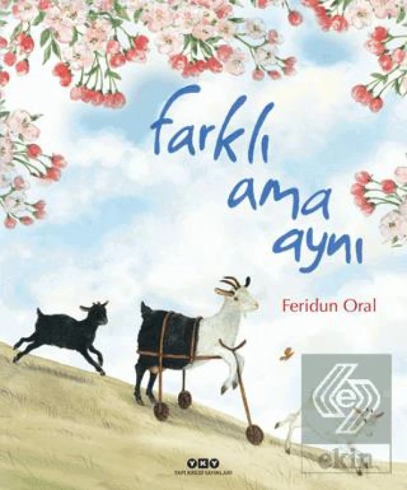 Farklı Ama Aynı
