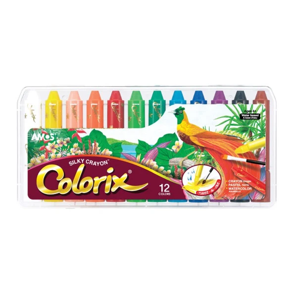 Amos Colorix Pastel Boya 12 Renk Plastik kutuda