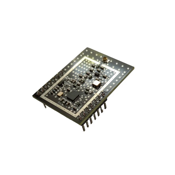 NTR08CFL4E 433MHz RF LoRa Transceiver Modülü (SX1268, SAW Filtre) ürün görseli