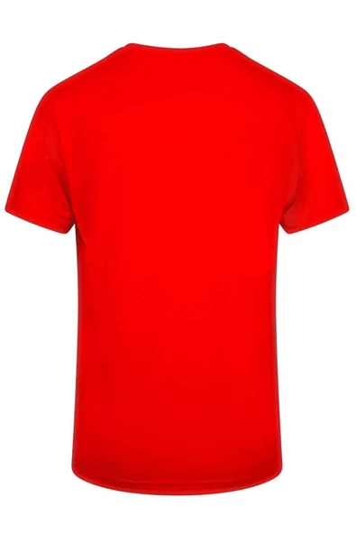 VICTOR  ERKEK VİLOFT V YAKA T-SHİRT - 12
