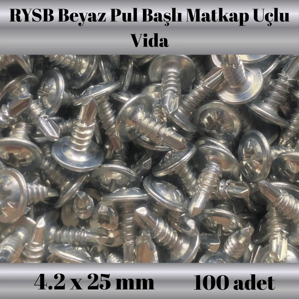 Rysb 4,2x25 mm 100 Adet Beyaz Pul Başlı Matkap Uçlu Vida Otomatik Vida - Resim 2