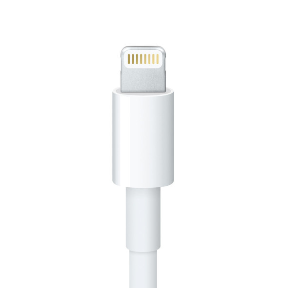 Apple Lightning to 30-pin Adapter - 2