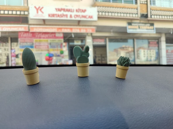 Otomobil Torpido Süsü Kaktüs Sukulent Cactus Succulent Süsü 3'Lü Ürün - 2