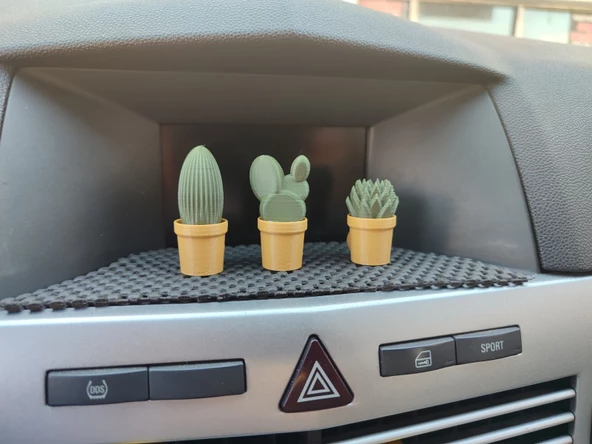 Otomobil Torpido Süsü Kaktüs Sukulent Cactus Succulent Süsü 3'Lü Ürün