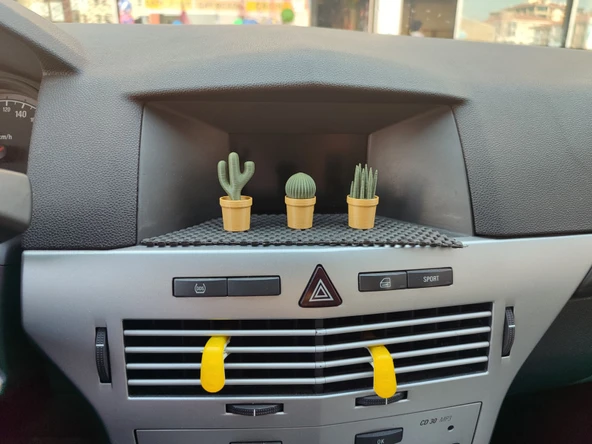 Otomobil Torpido Süsü Kaktüs Sukulent Cactus Succulent Süsü 3'Lü Ürün - 3