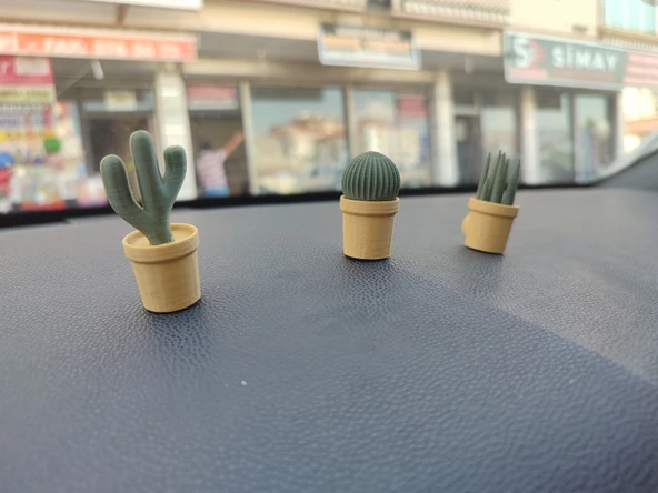 Otomobil Torpido Süsü Kaktüs Sukulent Cactus Succulent Süsü 3'Lü Ürün - 5