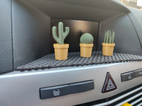 Otomobil Torpido Süsü Kaktüs Sukulent Cactus Succulent Süsü 3'Lü Ürün - 4