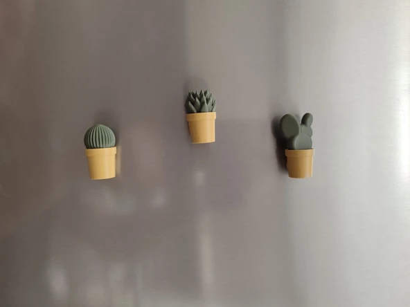 Ev Dekorasyon Buz Dolabı Magnet Succulet 3 Adet ürün görseli 1