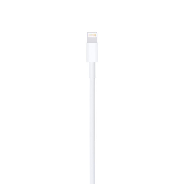 Apple Lightning to USB